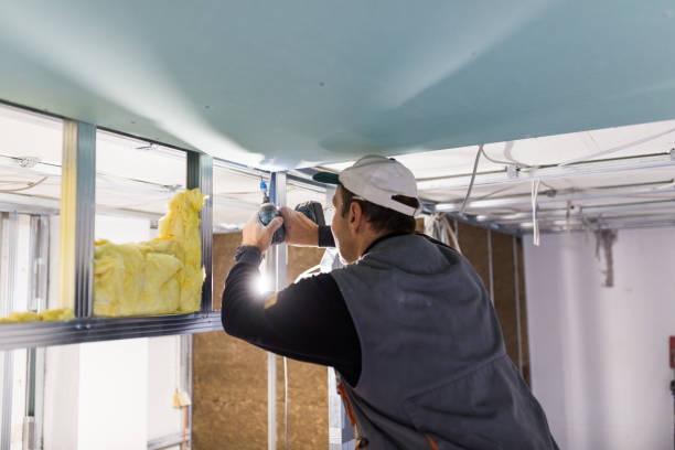 Best Wall Insulation Installation  in , CT